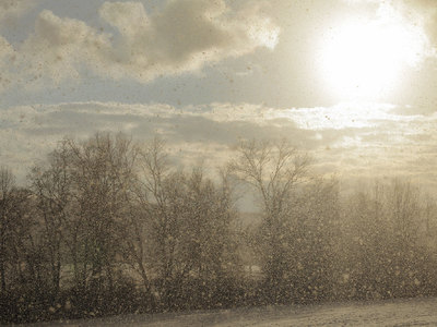 В Приморье выпал первый снег