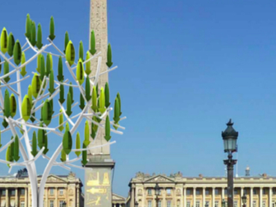 Французы научились выращивать электричество на деревьях