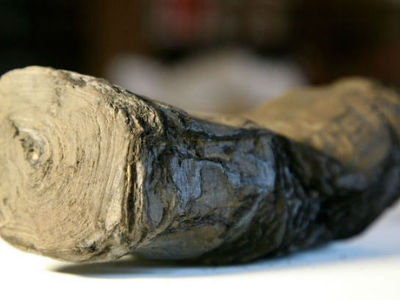 Рентгеновский анализ позволил прочитать сожжённые Везувием древние свитки