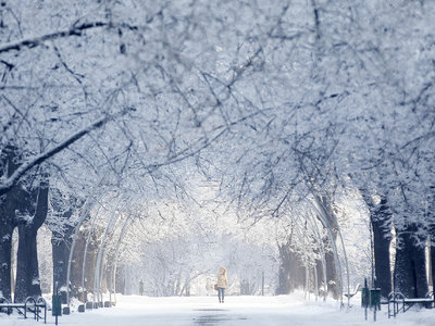 Синоптики обещают Москве прохладную и снежную среду