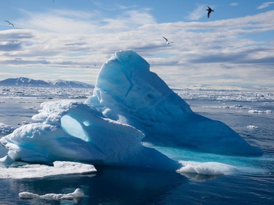 Росгидромет: площадь льда в Северном Ледовитом океане увеличилась