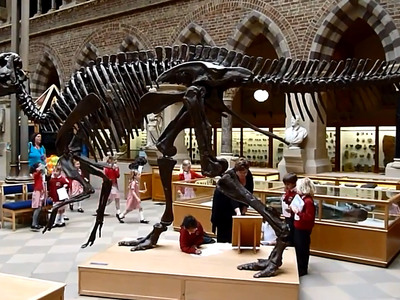 Гигантского динозавра из британского музея отправят на пенсию