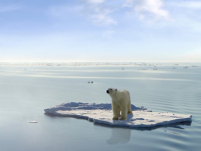Арктика будет освоена, но города утонут?