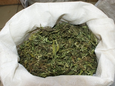 Под Новосибирском изъят мешок с 22 килограммами марихуаны
