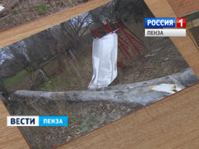 Администрация школы заплатит 85 тысяч рублей за упавшее на жилой дом дерево