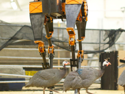 Супербыстрый робот ATRIAS сохраняет равновесие на двух ногах