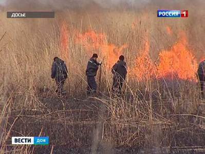 За двое суток на Дону произошло 13 ландшафтных пожаров