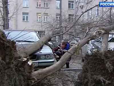Ураган в Москве может повредить ЛЭП и повалить деревья