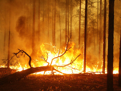 Лесные пожары в Бурятии и Забайкалье заполыхали с новой силой
