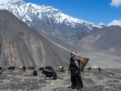 Пропавшие в Непале российские альпинисты вышли на связь