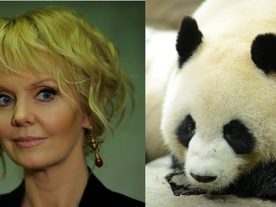 Китайцы назначили певицу Валерию послом большой панды