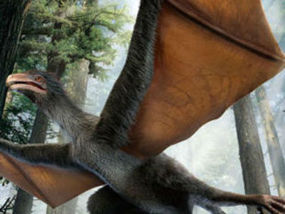В Китае найден динозавр, похожий на летучую мышь