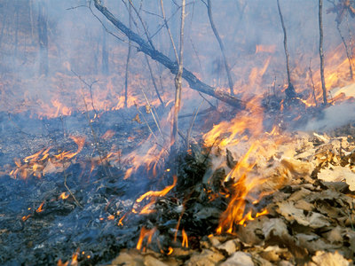 Лесные пожары вплотную подошли к пригороду Иркутска
