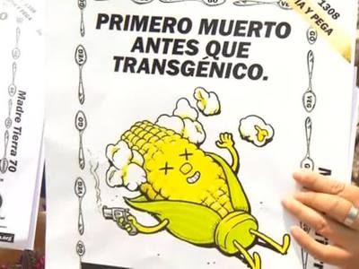 Против ГМО от Monsanto протестует весь мир, но не Украина