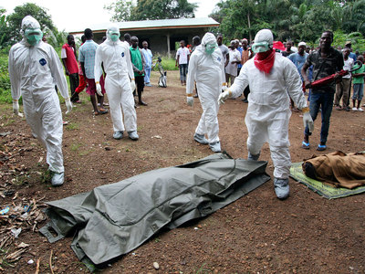 ВОЗ: скорость распространения Эболы удвоилась