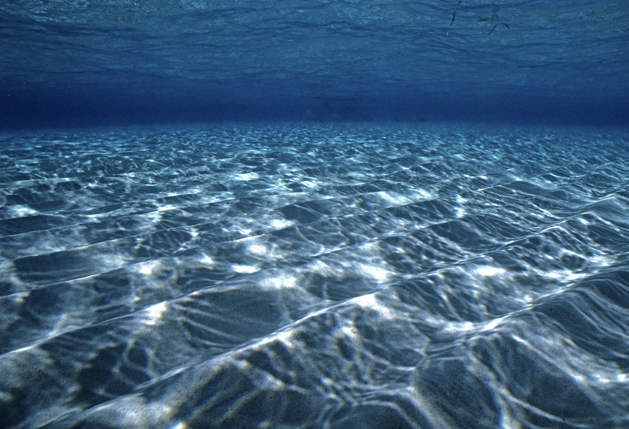 Прозрачность вод мирового океана